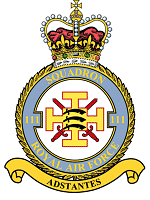 111 Squadron Badge