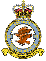 11 Squadron 
Badge