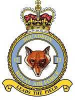 12 Squadron 
Badge