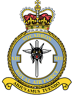 13 Squadron 
Badge