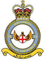 14 Squadron 
Badge