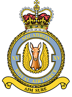 15 Squadron 
Badge