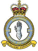 17 Squadron Badge