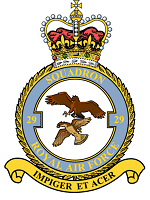 29 Squadron Badge