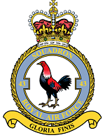 43 Squadron Badge